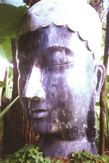 The Reiki Meditation Energy Enhanncement Buddha