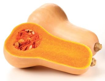 Butternut squash nutritional information