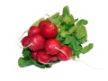 Radish nutritional information